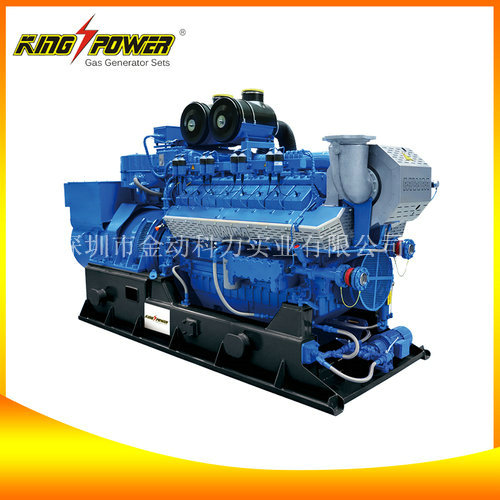 【供應(yīng)天然氣發(fā)電機】電讓世界變得更美！