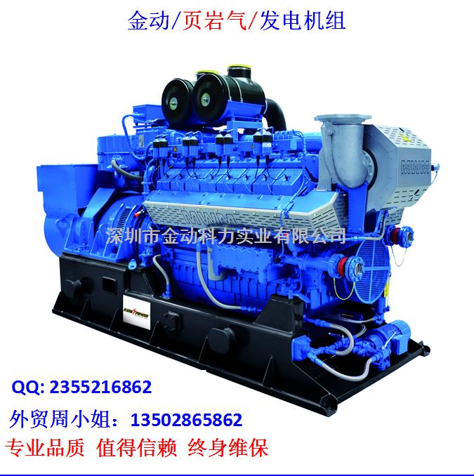 【深圳頁巖氣發(fā)電機】 發(fā)展趨勢無懈可擋！